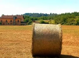 La Primarosa B&B