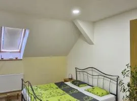 Pokoj pro 2 s vlastní koupelnou a minikuchyňkou