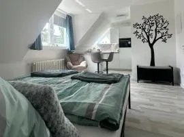 ArenaCityNest