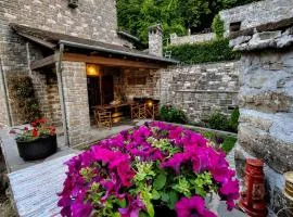 Cozy Nest House Δίκορφο Ζαγορίου