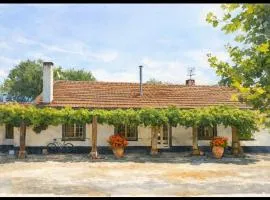 Quinta Nova do Archino 18