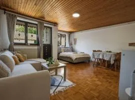 Apartment Vineyard nook Lendava