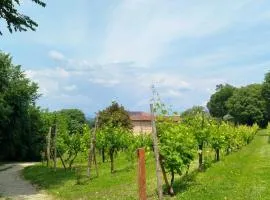 casale il Biricoccolo