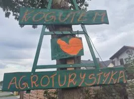 Agroturystyka Pod Kogutem