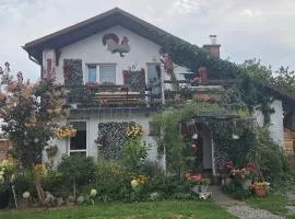 Agroturystyka Pod Kogutem