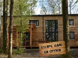 Gite cocon dans la forêt