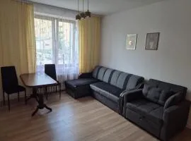 Apartament Centrum & Jezioro z Bezpłatnym Parkingiem