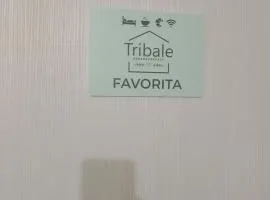 B&B Tribale