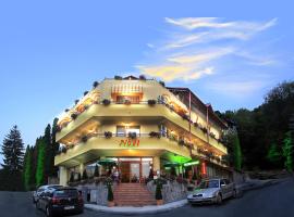Pensiunea Noel – hotel w mieście Băile Olăneşti