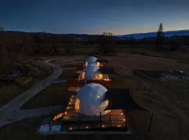 Go Glamping NZ Ltd