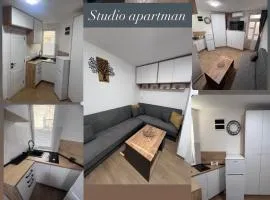 Studio apartman Cekic 2
