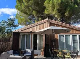 Les OLIVETTES CLIMATISÉES d'UZES à Garrigues Sainte Eulalie
