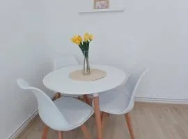 Apartament 1 camera , Garsoniera