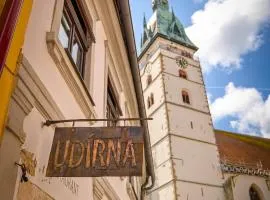Udírna Penzion and Restaurant