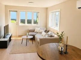 Central 3-Bedroom Apartment Free Parking & Wifi