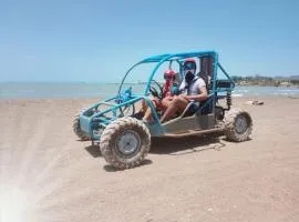 Quadtours