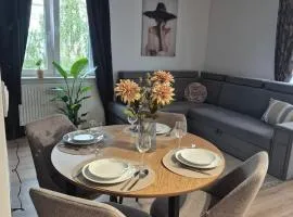 Komfortowy Apartament z Dwiema Sypialniami