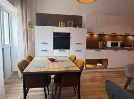 Appartement cozy proche Sancy