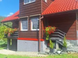 Dom Salamandra z panoramą gór