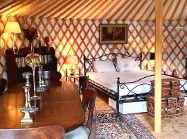 Big & luxurious eco-tiny house in nature & near Brussels