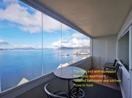 HomestaySeaview Ålesund