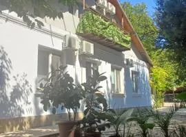 CASA MEA-Casa Mocanu