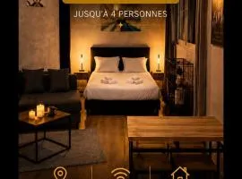 STUDIO COSY - HYPERCENTRE - CALME - 50M2 - Wi-FI