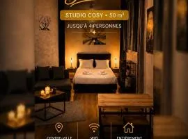 STUDIO COSY - HYPERCENTRE - CALME - 50M2 - Wi-FI