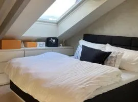 Exclusive & Elegant Frogner Apartment in the Heart of Oslo