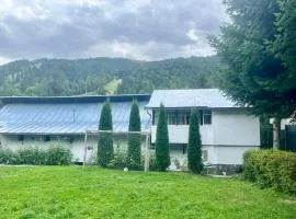 Chalet Azuga