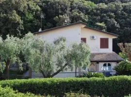 B&B Cavalieri