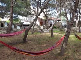 Villa con Pineta tra paese e mare