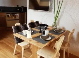 Studio 166 Le Bristol Villars