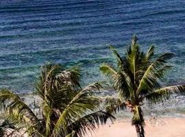 Bamboo Surf Beach: San Isidro şehrinde bir otel