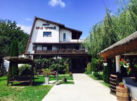 Hanu lu Mos Opinca, bed and breakfast en Deva