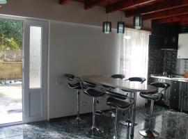 Guest House Maxim、マヒンジャウリのホテル