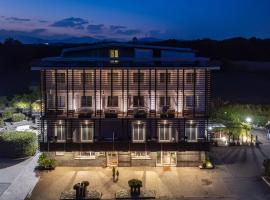 Hotel San Francesco, hotel a Borgomanero