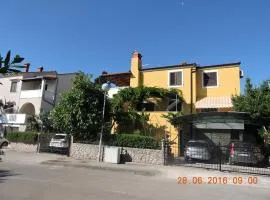 Apartments Ivanka