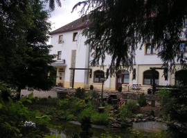 Hotel Sternen, hotel v destinaci Lenzkirch
