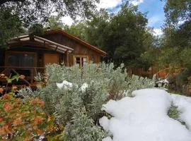Cabañas Parque Almendro