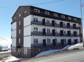 Gudauri S Residence