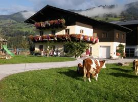 Rieserhof/Fam. Meißnitzer, hotel v mestu Taxenbach