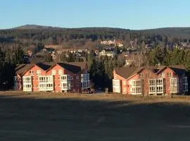 Apartment Gosch an der Skiwiese