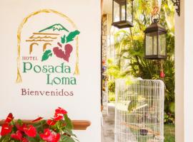 Hotel Posada Loma, hotel con piscina en Fortín de las Flores