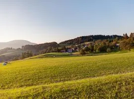 Apartmaji Pr-Gujlu Sela nad Podmelcem 5220 TOLMIN