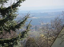 Weingut Seiner vlg. Kraxner, hotel din Greisdorf