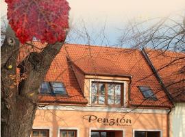 Penzion na Potočnej – tani hotel w mieście Skalica
