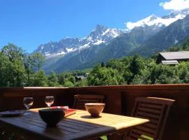 Facing the Chamonix Needles