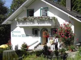 Haus am Wald, hotel in Bayerisch Eisenstein