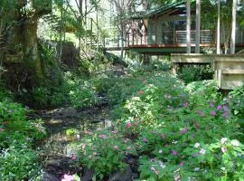 Treetops Montville